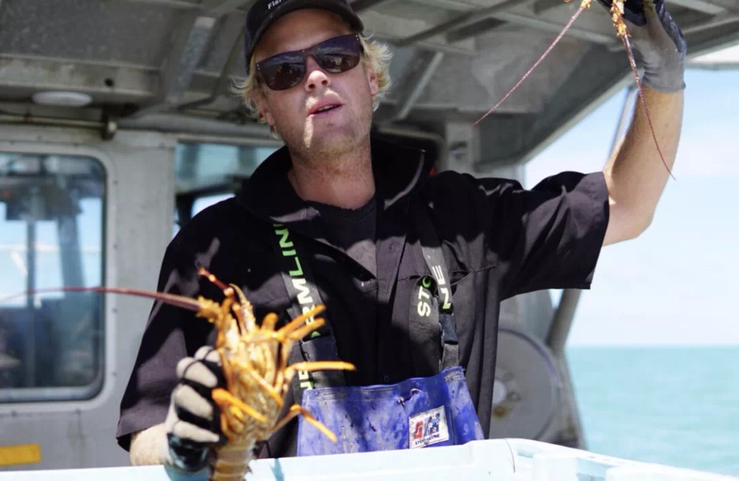 体验<br/>凯库拉海钓，出海体验抓大龙虾的快感