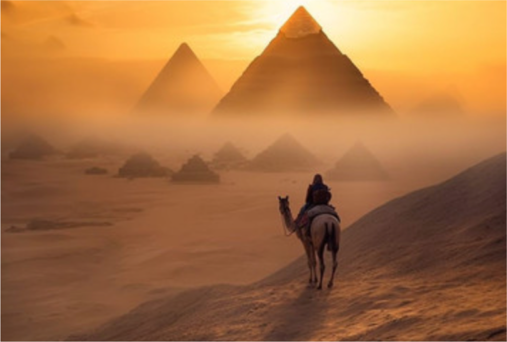 游览<br/>从金字塔到帝王谷，走访千年古国文明