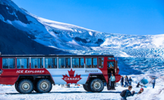 体验<br/>搭乘巨轮冰原雪车，向着冰原出发吧