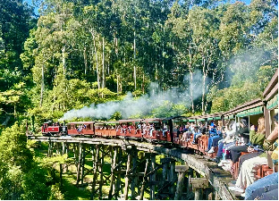 体验<br/>搭乘普芬比利小火车，穿梭雨林进入复古蒸汽时代