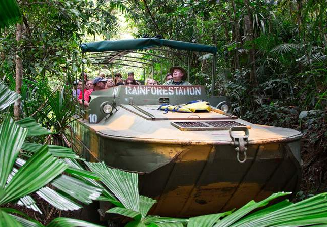 游览<br/>踏入世界上最古老的热带雨林，细听虫鸣鸟叫
