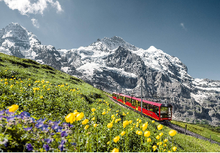 体验<br/>齿轮列车 前往欧洲最高的火车站  一睹少女峰雪山美景