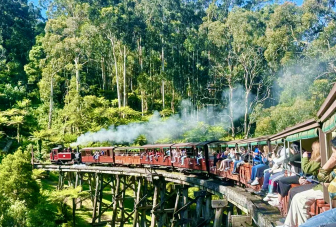 游览<br/>搭乘普芬比利小火车，穿梭雨林进入复古蒸汽时代