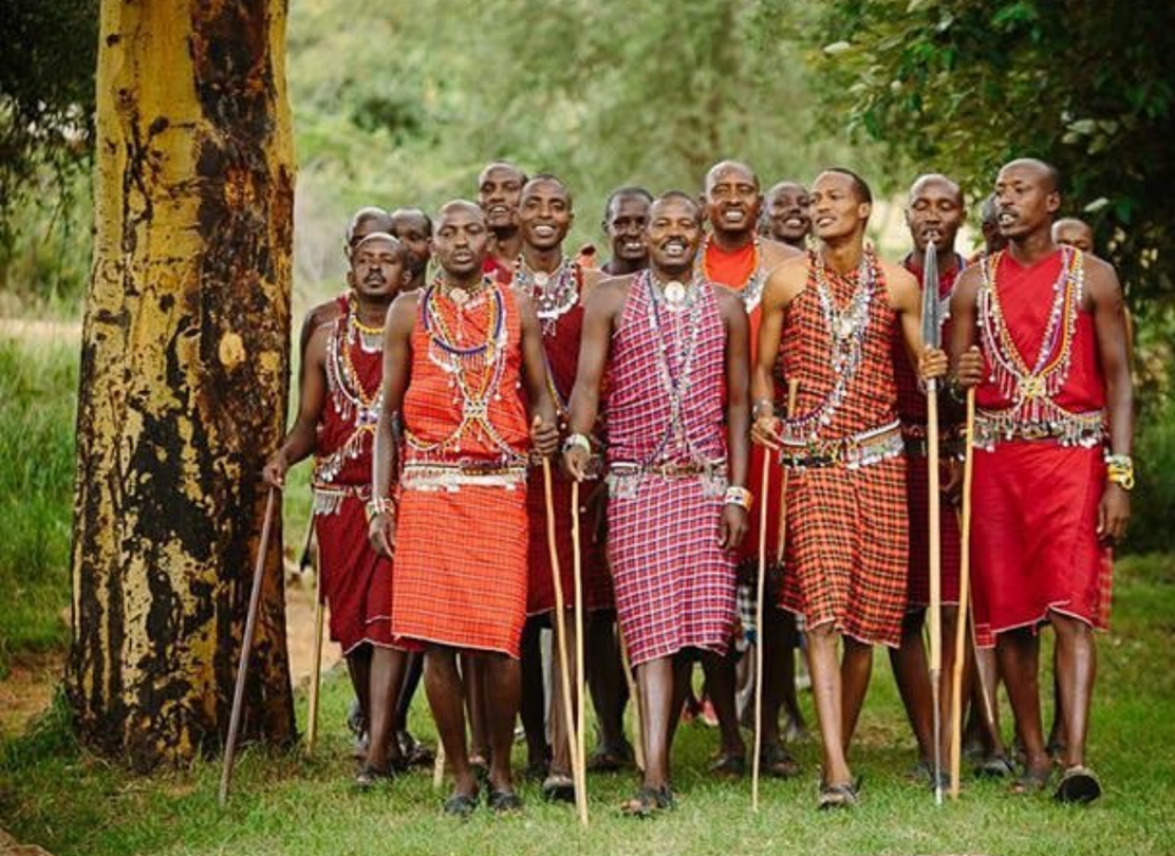 体验<br/>专属Safari