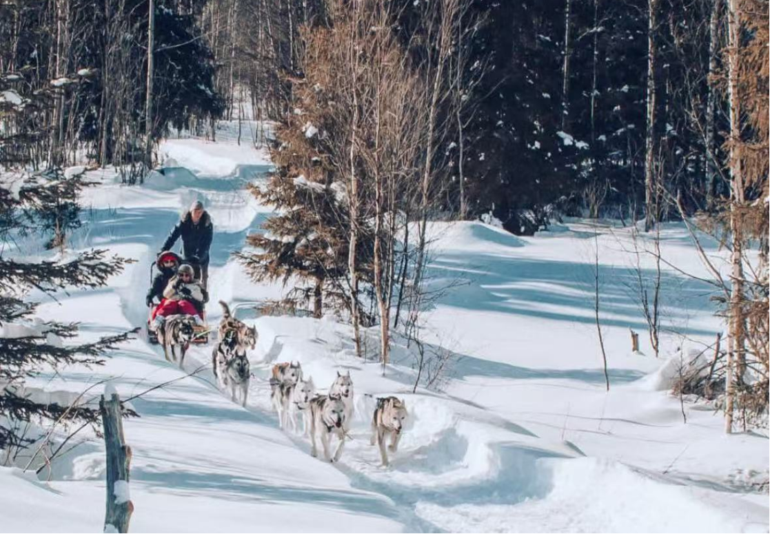 体验<br/>来自北极圈的速度与激情 狗拉雪橇 vs 雪地摩托