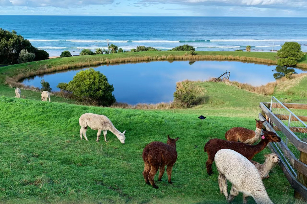 美宿<br/>地平线特别甄选！海岸线上住宿体验，享百万夕阳美景